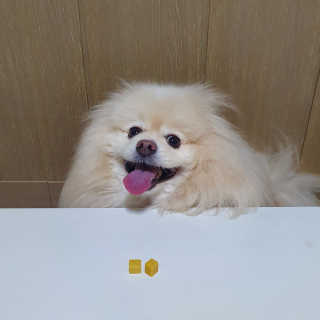 치리짱님이 올린 리뷰 사진 1