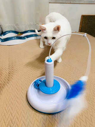 하윤맘님이 올린 리뷰 사진 2