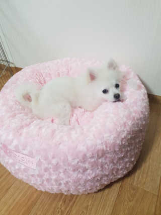 SIENA님이 올린 리뷰 사진 1