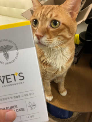 일로와님이 올린 리뷰 사진 2