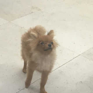 쟁님이 올린 리뷰 사진 2