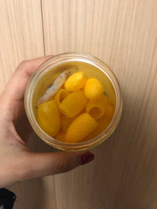 꽃송이님이 올린 리뷰 사진 3