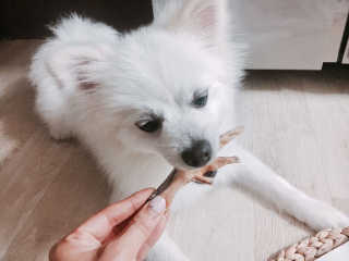 루이님이 올린 리뷰 사진 2