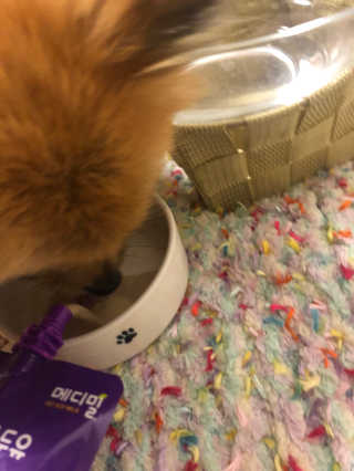 복딩복실만복님이 올린 리뷰 사진 2