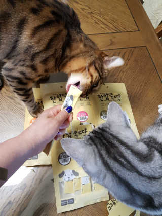 [펫토리아]짜먹는 한입뚝딱 강아지.고양이 마약간식 — 5점을 준 리뷰어가 2019년 8월 올린 사용 사진