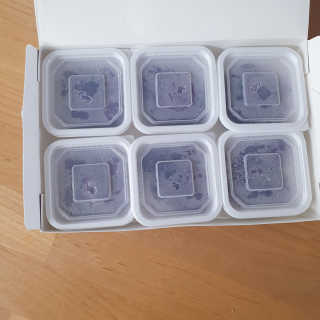 톰티님이 올린 리뷰 사진 2
