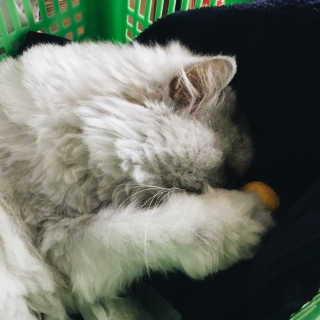 뽀야미❤️님이 올린 리뷰 사진 1