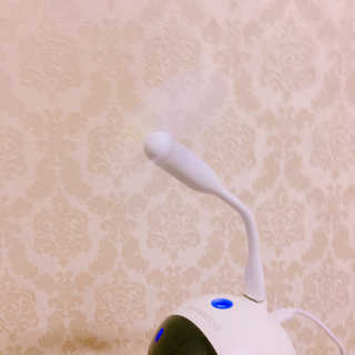 율집사님이 올린 리뷰 사진 2