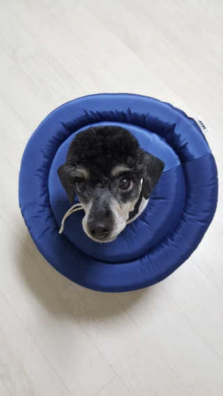 독버섯님이 올린 리뷰 사진 3