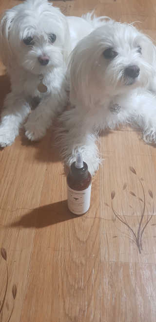 공팔리터님이 올린 리뷰 사진 1