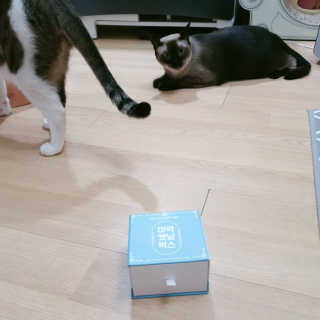 3M님이 올린 리뷰 사진 2