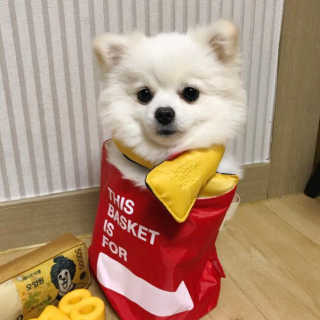 박수진님이 올린 리뷰 사진 2