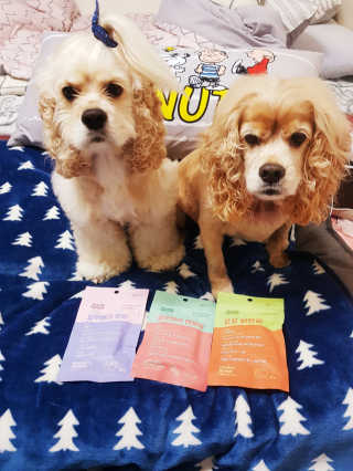 푸디웜 주식회사 [푸디웜] 강아지 저알러지 수제간식 3종세트 — 5점을 준 리뷰어가 2018년 12월 올린 사용 사진