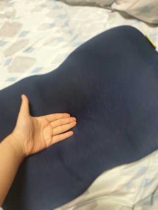 까사앤지오 요술베개 스페셜 에디션 — 5점을 준 리뷰어가 2020년 2월 올린 사용 사진