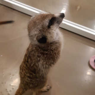unha님이 올린 리뷰 사진 1
