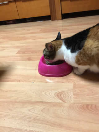 열일합시다님이 올린 리뷰 사진 3