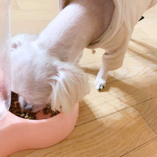 챔미님이 올린 리뷰 사진 2