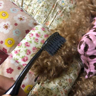the naked object 디블랙팩치약 디블랙칫솔 세트 — 4점을 준 리뷰어가 2019년 6월 올린 사용 사진