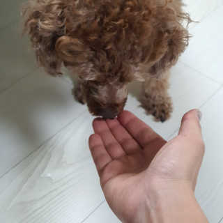 수호맘님이 올린 리뷰 사진 2