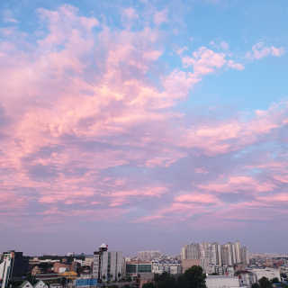 맵꾸미 쭈꾸미볶음 450g — 5점을 준 리뷰어가 2019년 8월 올린 사용 사진