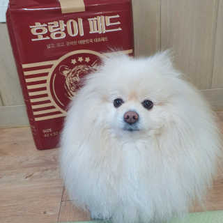 치리짱님이 올린 리뷰 사진 1
