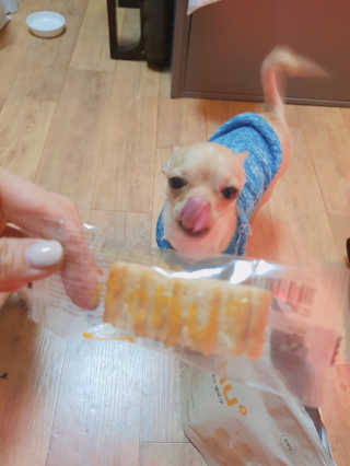 Juava님이 올린 리뷰 사진 2