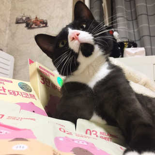 나르미르님이 올린 리뷰 사진 1