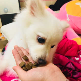 석가모뉘님이 올린 리뷰 사진 2