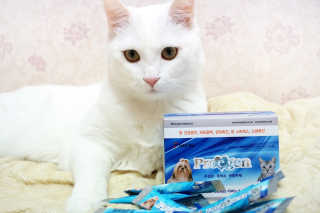 엘양님이 올린 리뷰 사진 2
