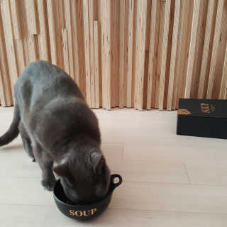현진공주님이 올린 리뷰 사진 3