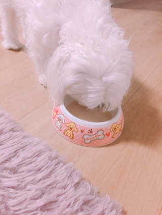 리본님이 올린 리뷰 사진 2