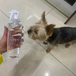 [펫토리아]살균뚝딱 강아지 고양이 살균소독제 탈취제 — 5점을 준 리뷰어가 2019년 10월 올린 사용 사진