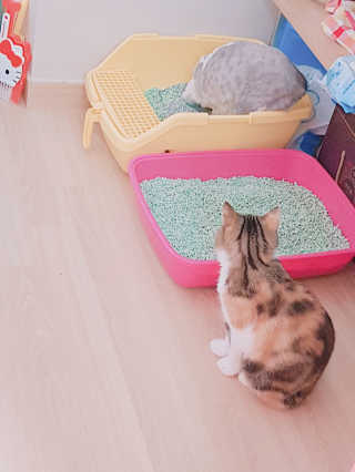 엘카몬님이 올린 리뷰 사진 3