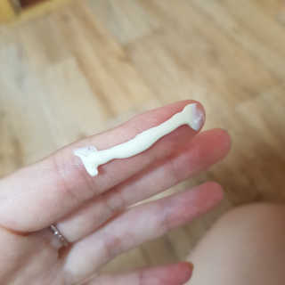 씬님이 올린 리뷰 사진 2