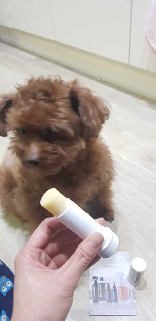 희야님이 올린 리뷰 사진 3