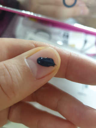 보나님이 올린 리뷰 사진 2