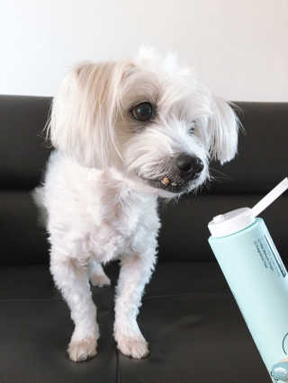 아이린지니님이 올린 리뷰 사진 4