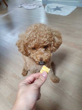 fksrud7425님이 올린 리뷰 사진 1