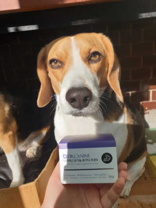 beaglelove님이 올린 리뷰 사진 1