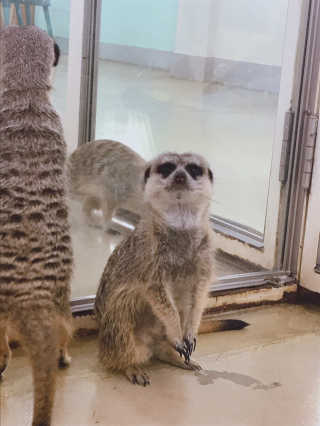 sue님이 올린 리뷰 사진 2