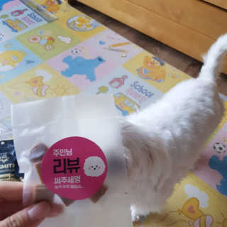 엘비스님이 올린 리뷰 사진 3