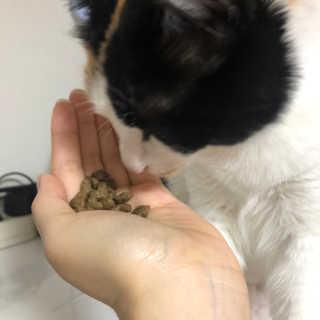 봄날님이 올린 리뷰 사진 4