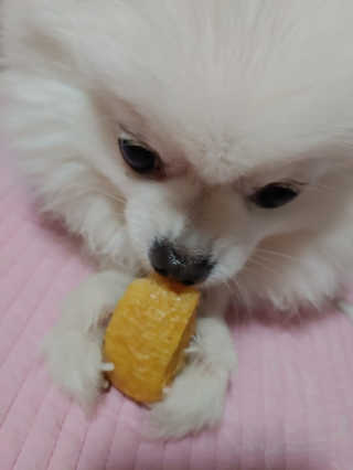 치르치르님이 올린 리뷰 사진 4
