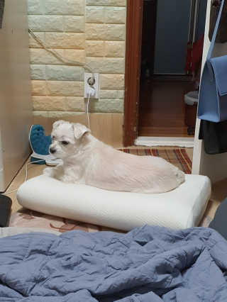 주영님이 올린 리뷰 사진 1