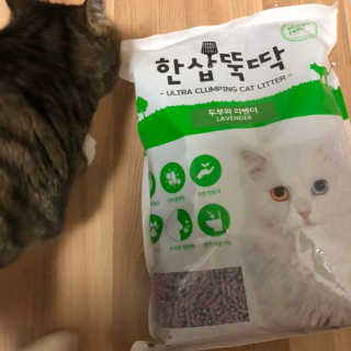 [펫토리아] BEST 고양이두부모래 6L 한삽뚝딱 — 5점을 준 리뷰어가 2019년 1월 올린 사용 사진