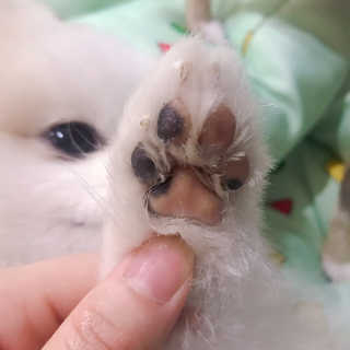 제리톰레나님이 올린 리뷰 사진 4