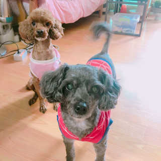 이수련님이 올린 리뷰 사진 3