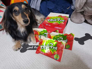 5_daks님이 올린 리뷰 사진 2