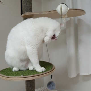 이주아님이 올린 리뷰 사진 1
