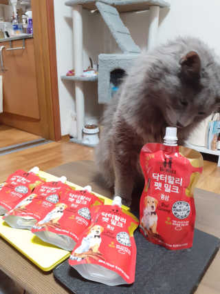 닥터할리펫밀크 8종 — 5점을 준 리뷰어가 2020년 1월 올린 사용 사진